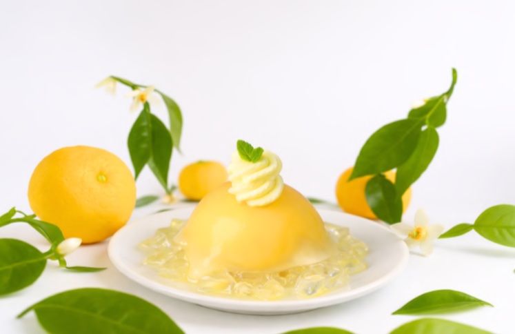 徳島木頭柚子ムース