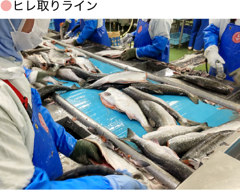 極洋　定塩銀鮭フィーレ　甘口　８ＫＧ