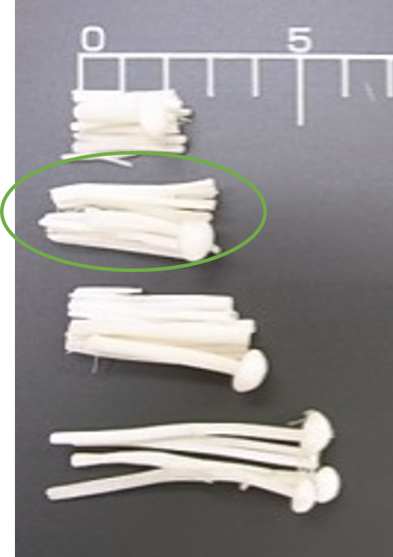 きのこ　フレッシュえのき1/4カット株なし