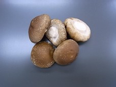 きのこ　フレッシュ椎茸足切り
