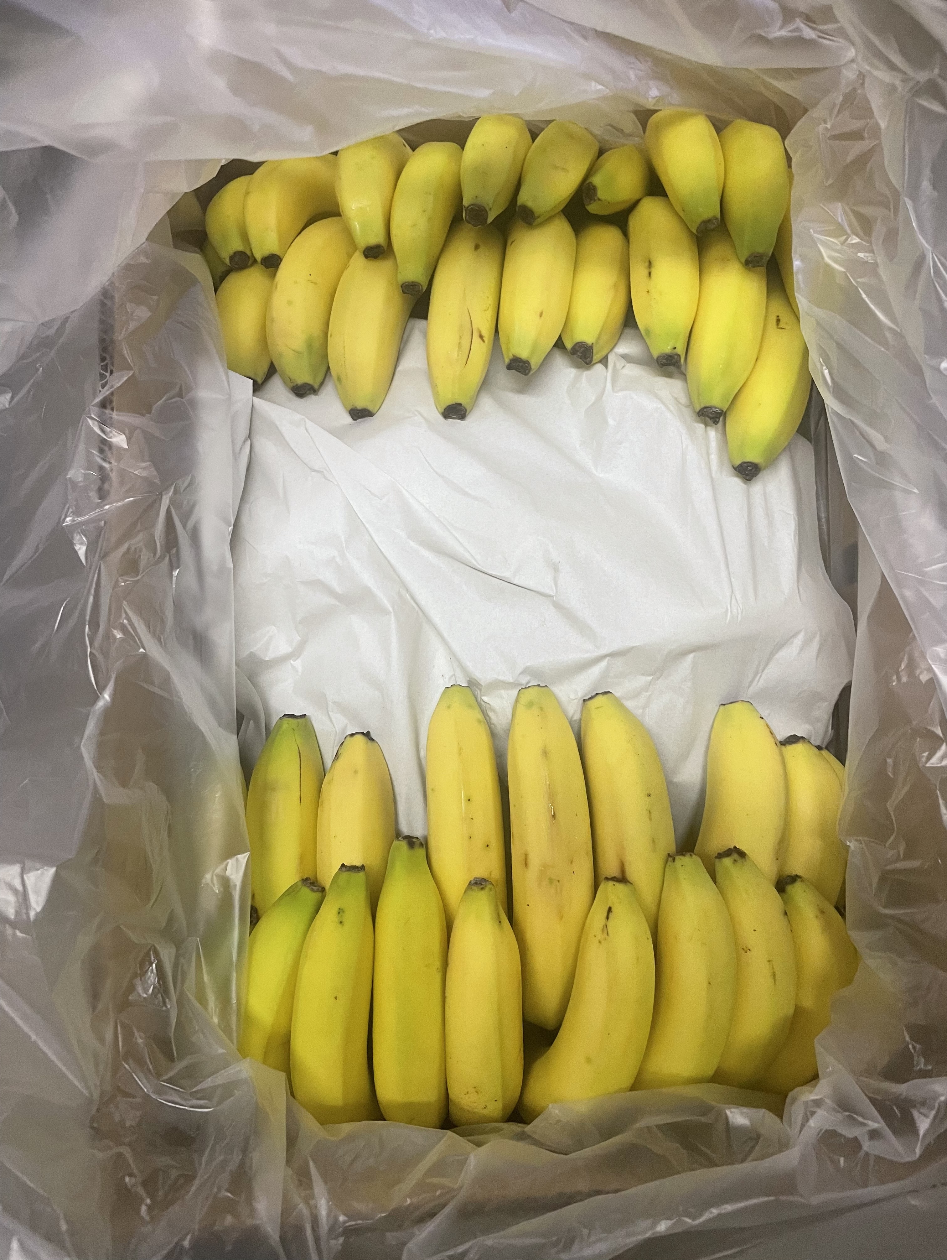 ＦＮ　ペルー産ＪＡＳ有機　バナナ　キロ物