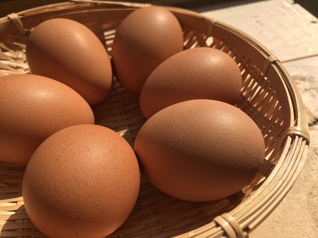 小林ＧＥ　こく旨とろり　すき焼き専用卵　　　１０ＫＧ